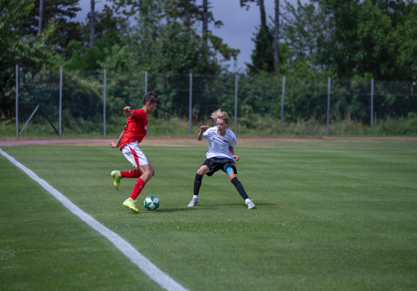 © ASVÖ NÖ