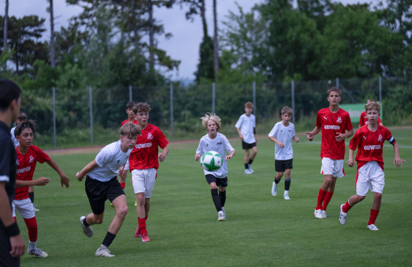 © ASVÖ NÖ